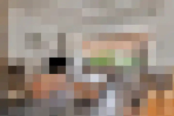 Lucas van Leydenstraat 8 Dongen thumbnail 12