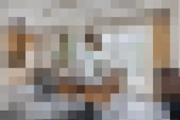 Lucas van Leydenstraat 8 Dongen thumbnail 15