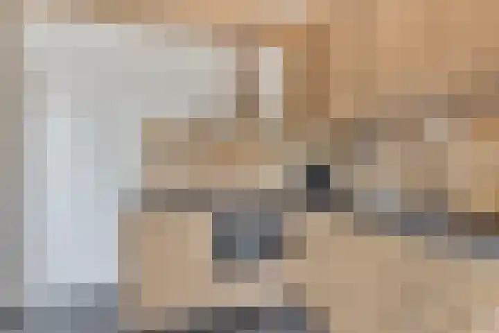 Lucas van Leydenstraat 8 Dongen thumbnail 17
