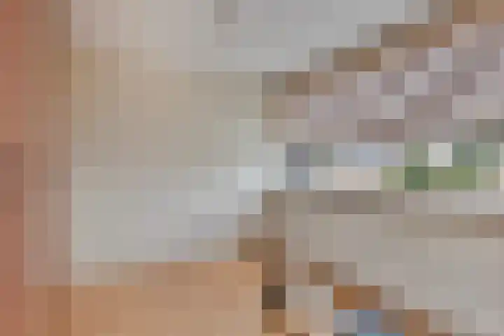 Lucas van Leydenstraat 8 Dongen thumbnail 22