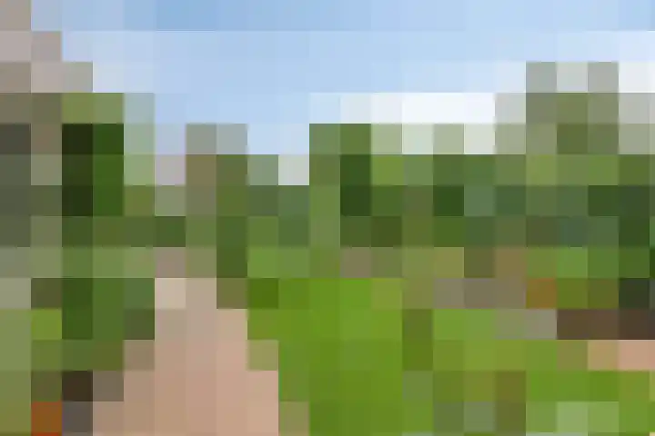 Lucas van Leydenstraat 8 Dongen thumbnail 25
