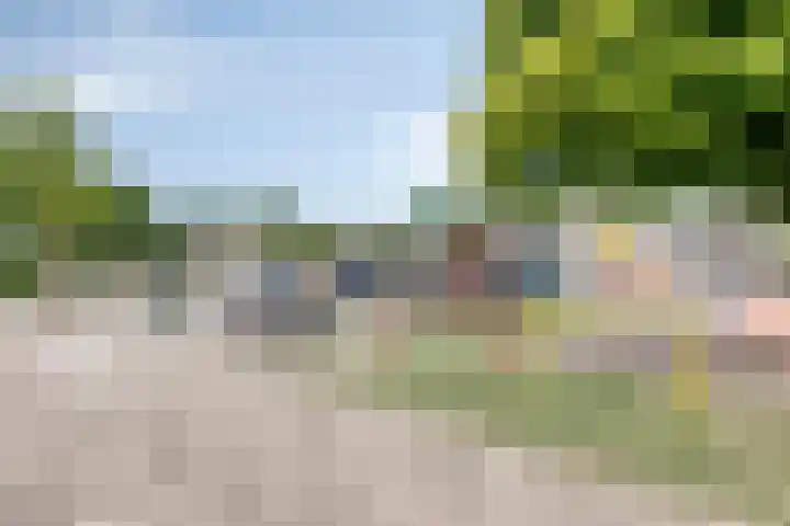 Lucas van Leydenstraat 8 Dongen thumbnail 30