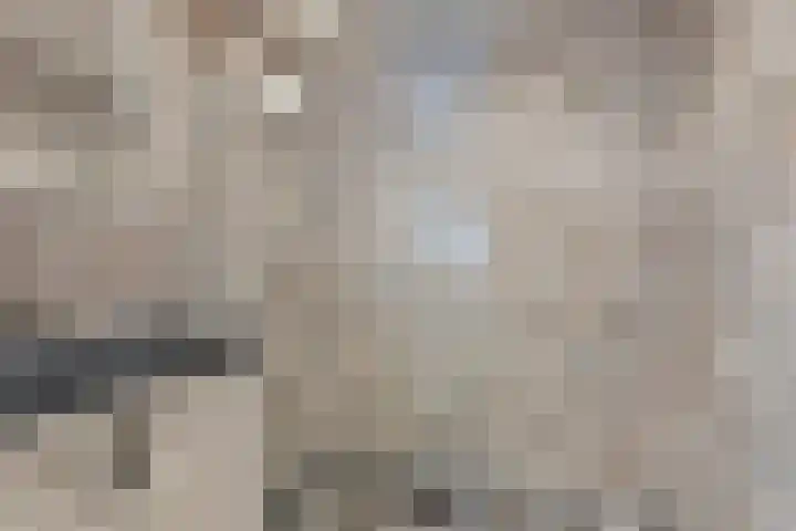 Lucas van Leydenstraat 8 Dongen thumbnail 5