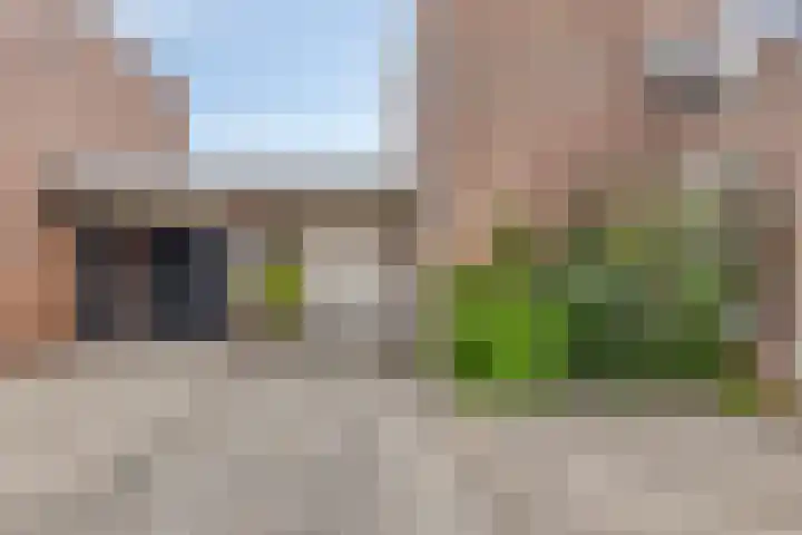 Lucas van Leydenstraat 8 Dongen thumbnail 9