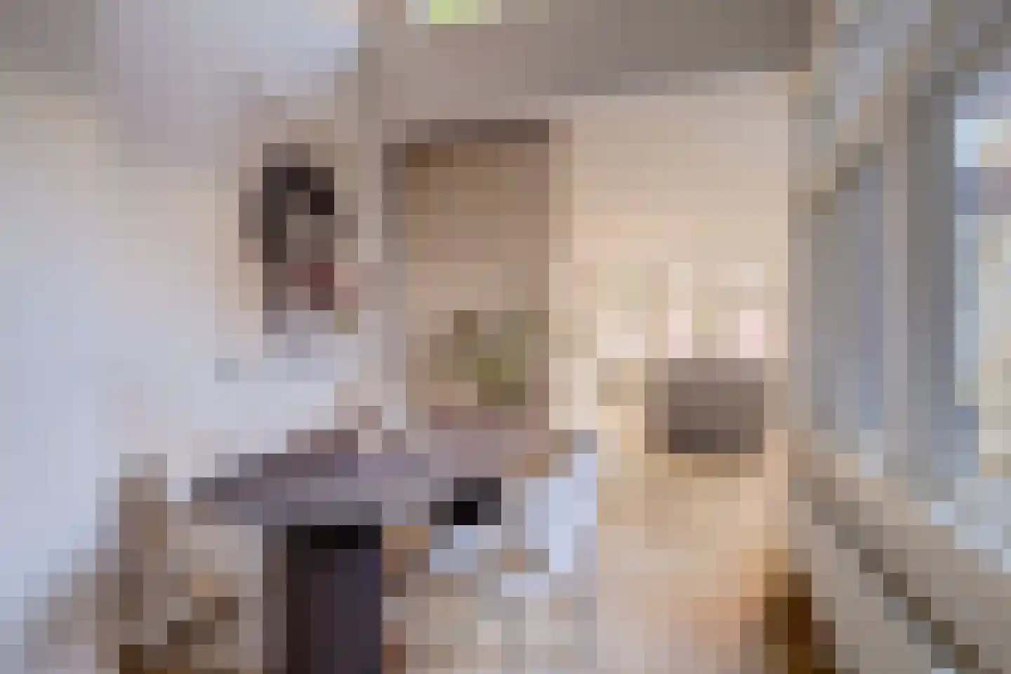 Lucasbolwerk 18 A Utrecht thumbnail 10