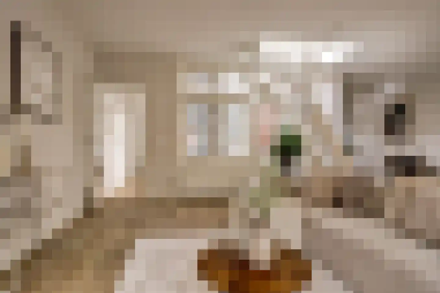 Lucasbolwerk 18 A Utrecht thumbnail 11