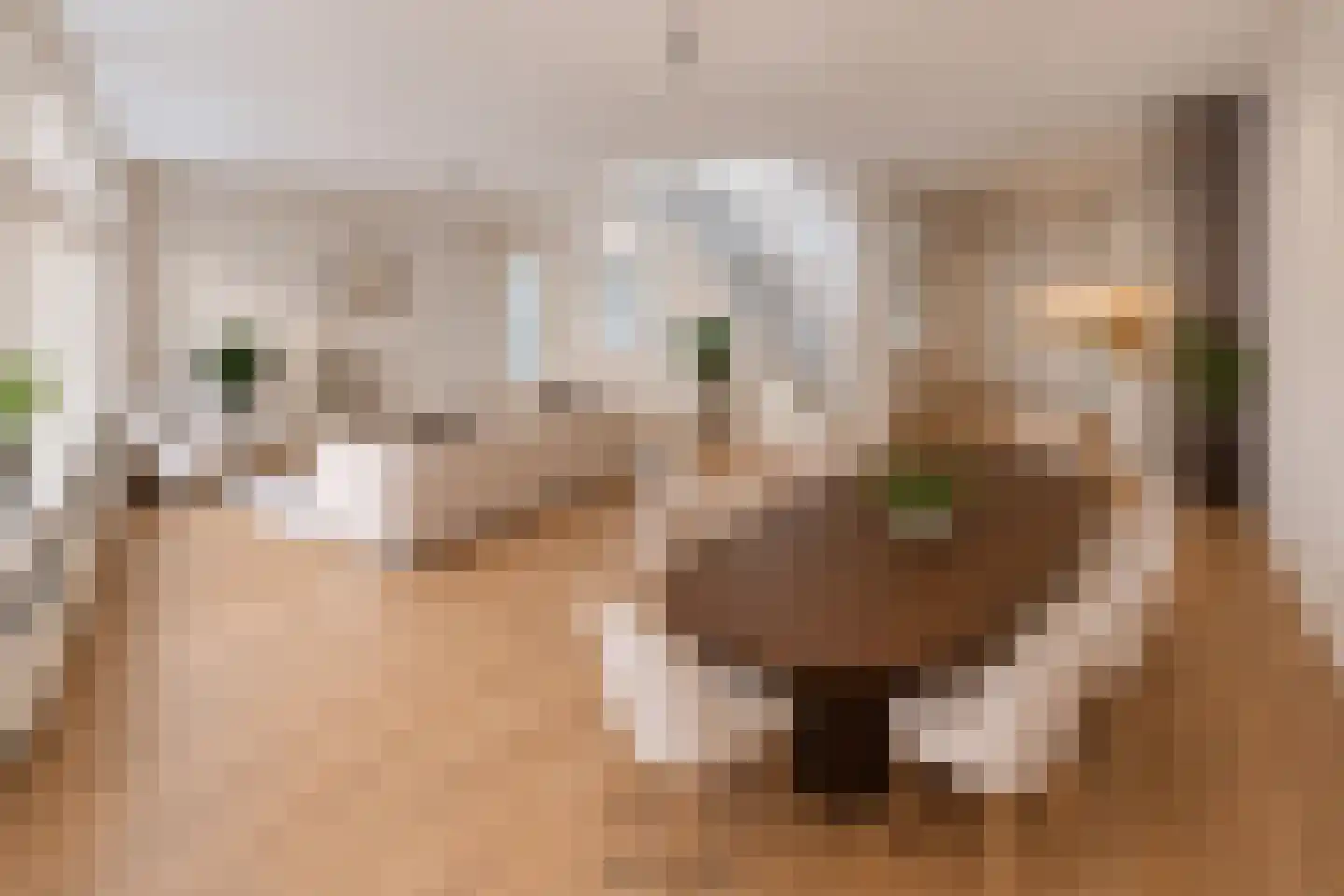Lucasbolwerk 18 A Utrecht thumbnail 13