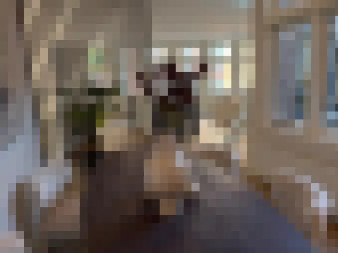Lucasbolwerk 18 A Utrecht thumbnail 18