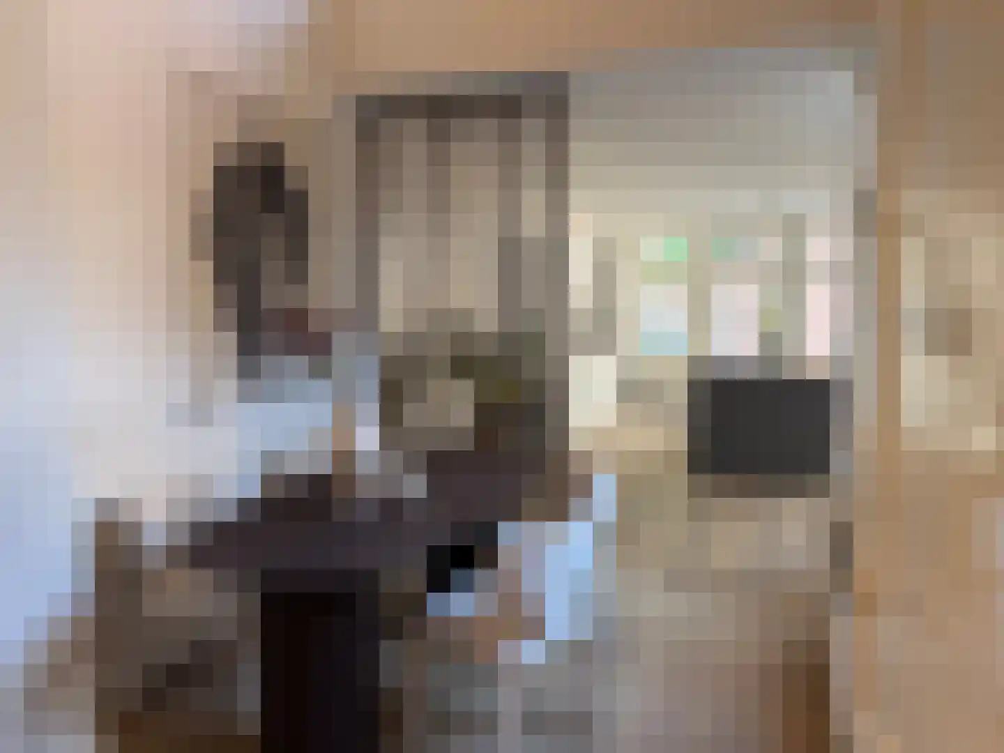 Lucasbolwerk 18 A Utrecht thumbnail 19
