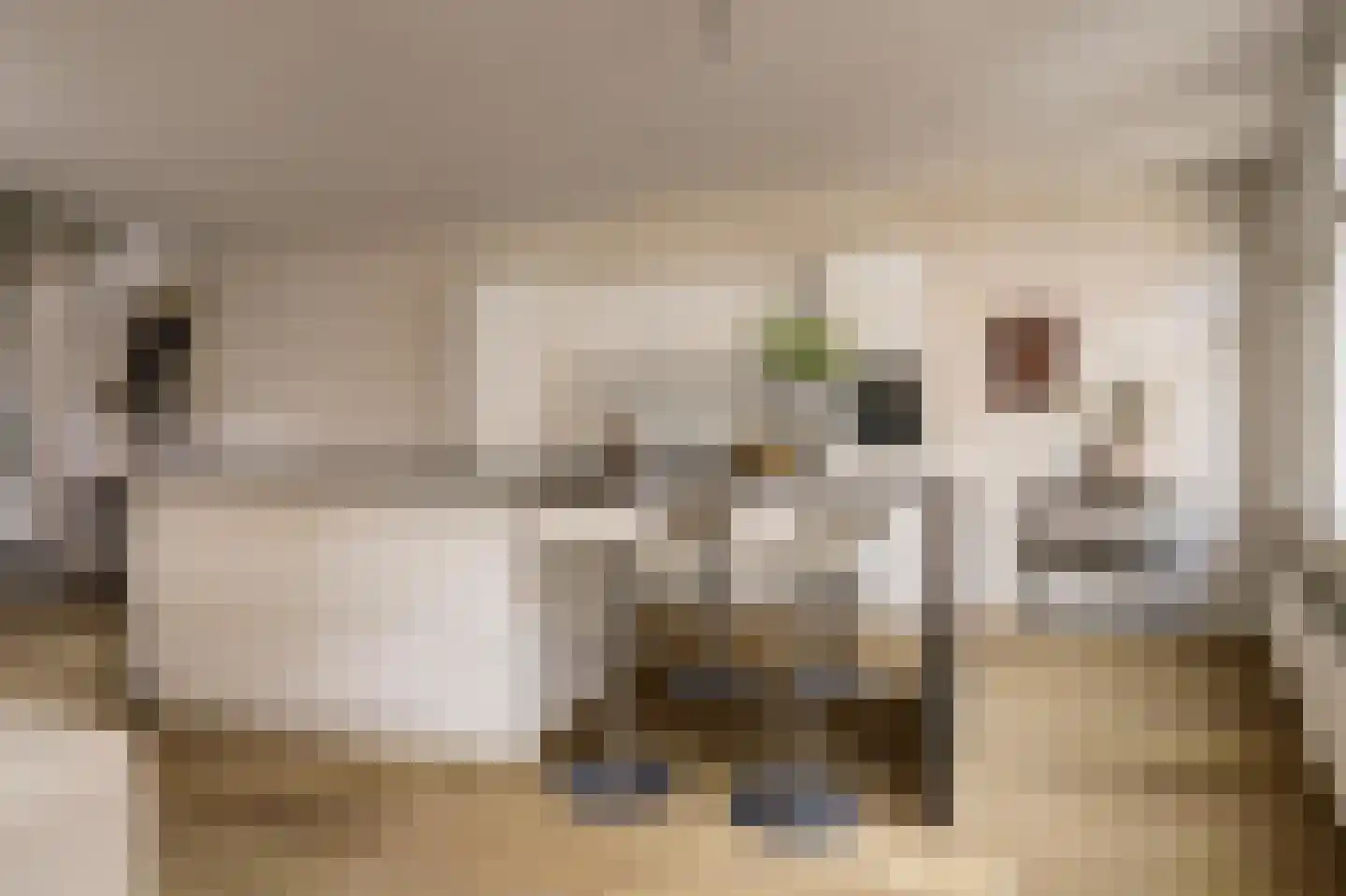Lucasbolwerk 18 A Utrecht thumbnail 4