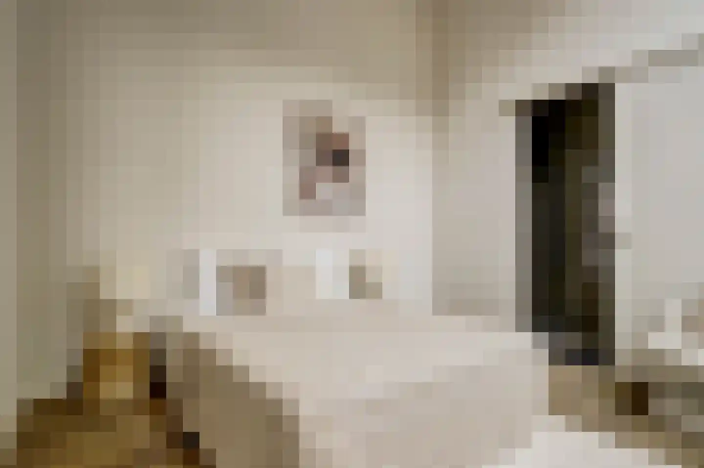Lucasbolwerk 18 A Utrecht thumbnail 5