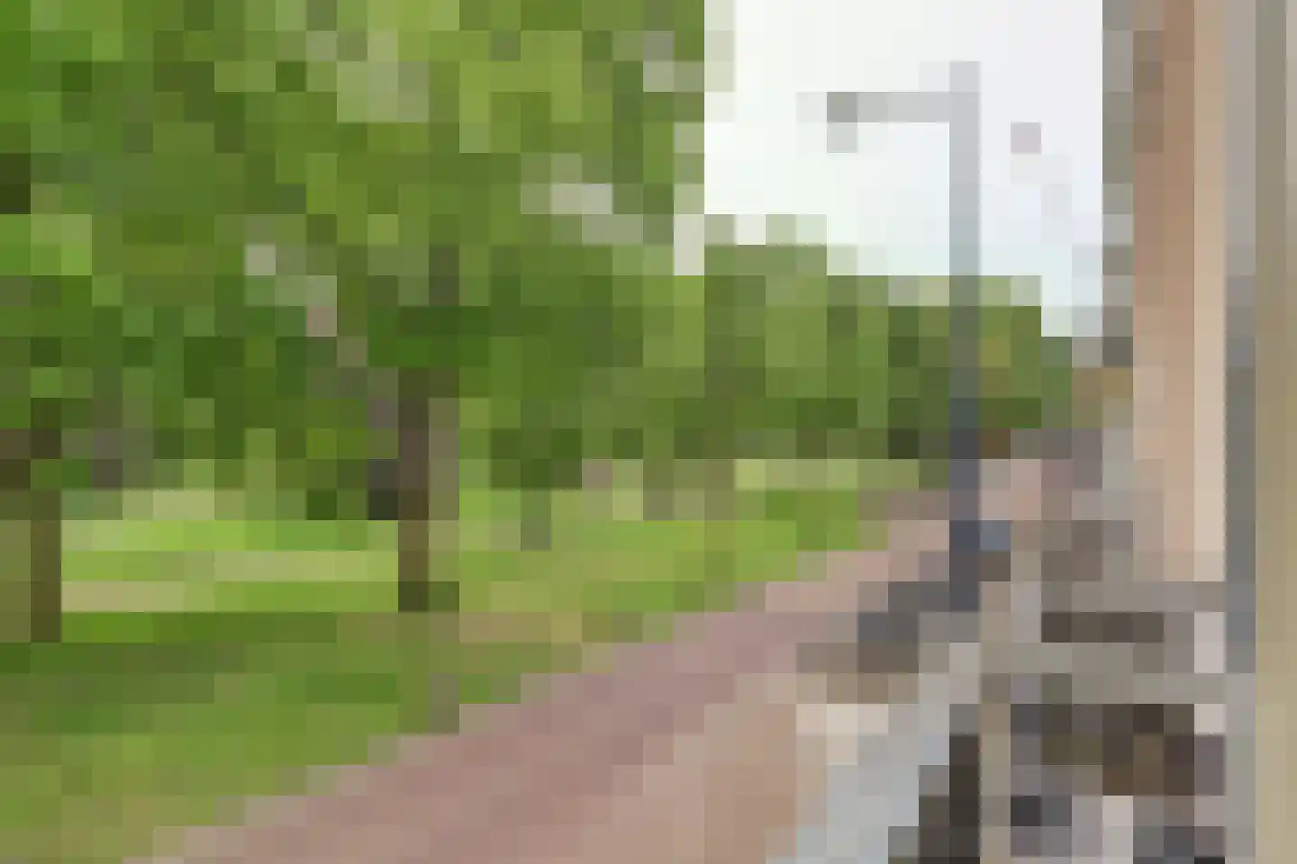 Lucasbolwerk 18 B Utrecht thumbnail 16