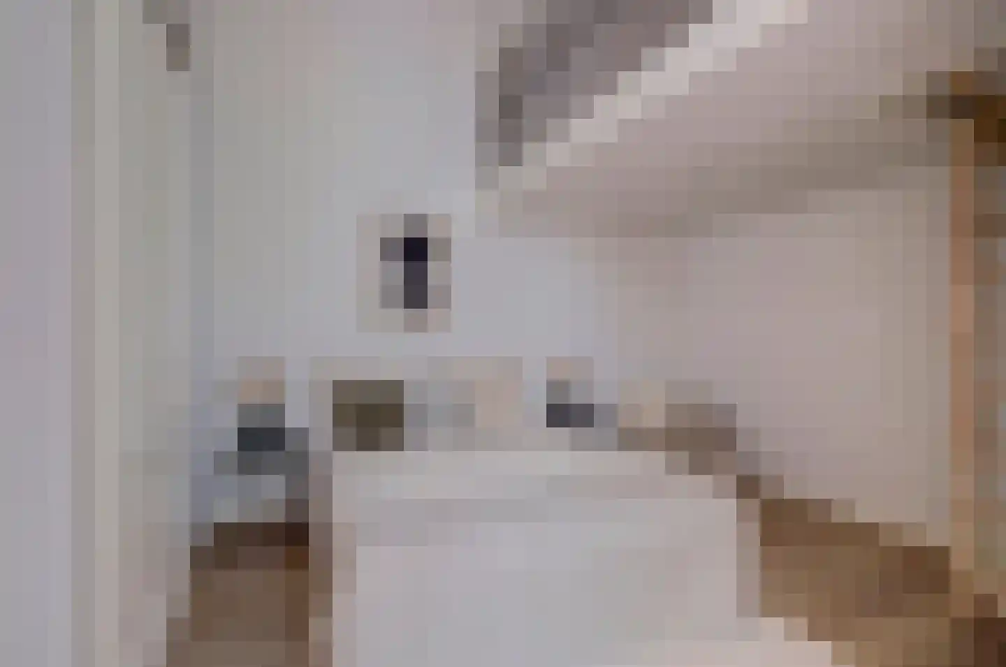 Lucasbolwerk 18 B Utrecht thumbnail 22