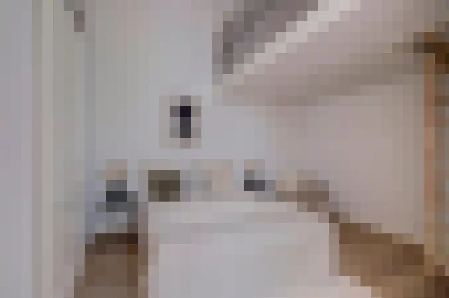 Lucasbolwerk 18 B Utrecht thumbnail 22