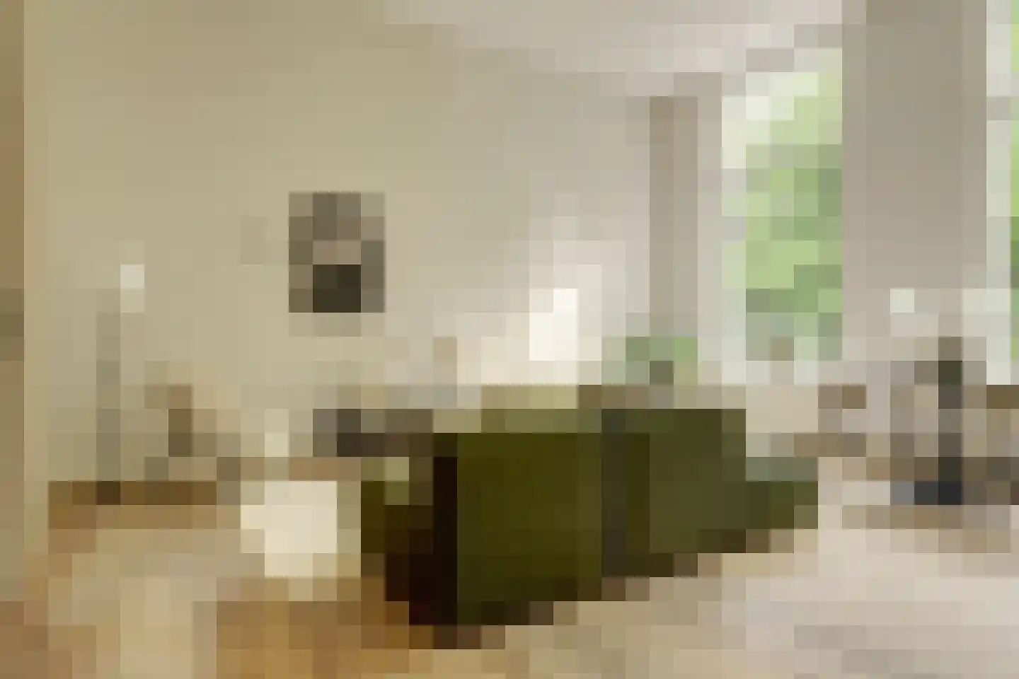 Lucasbolwerk 18 B Utrecht thumbnail 9