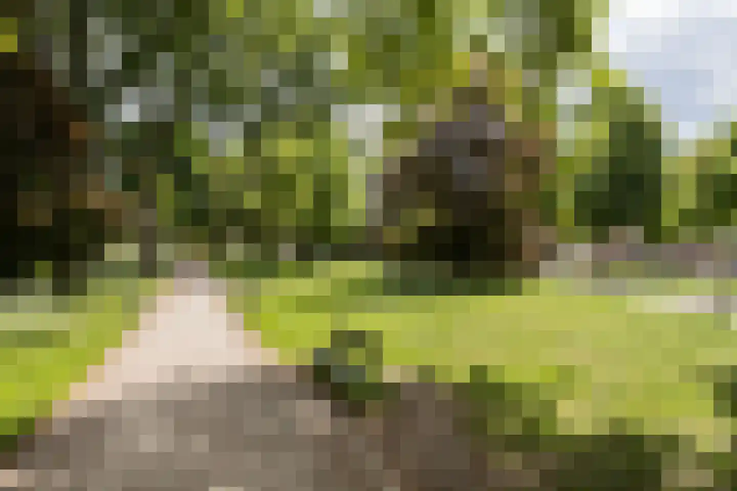 Lucasbolwerk 18 D Utrecht thumbnail 11