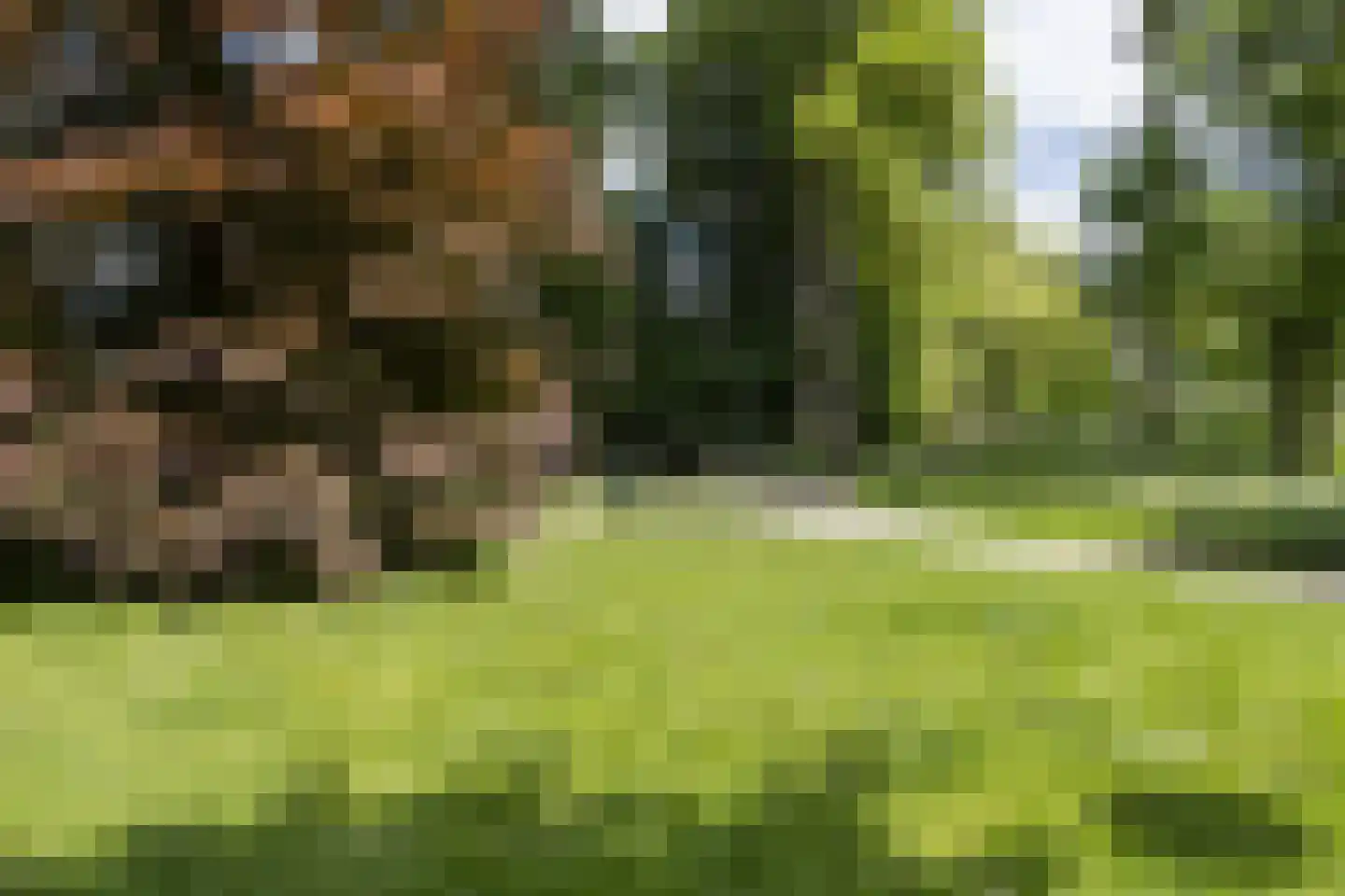Lucasbolwerk 18 D Utrecht thumbnail 8