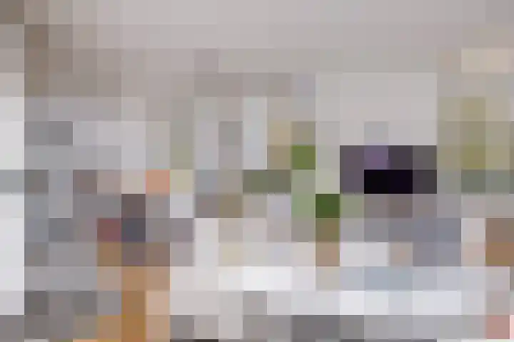 Lucasbolwerk 2 A Utrecht thumbnail 10