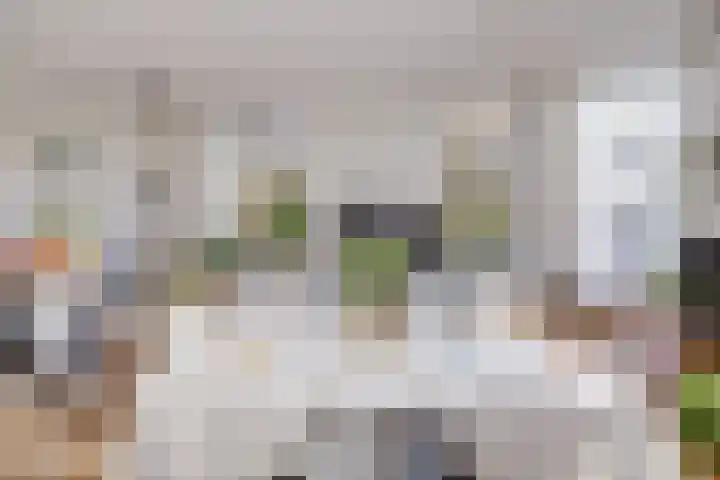 Lucasbolwerk 2 A Utrecht thumbnail 21