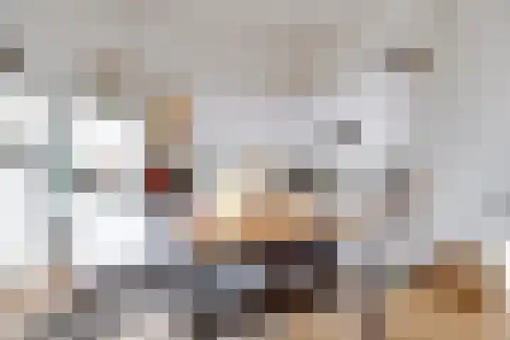 Lucasbolwerk 2 A Utrecht thumbnail 24