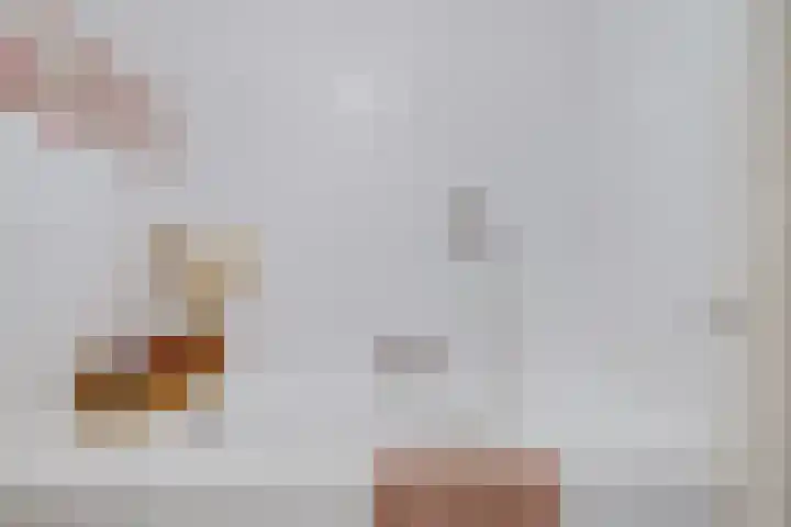 Lucasbolwerk 2 A Utrecht thumbnail 45