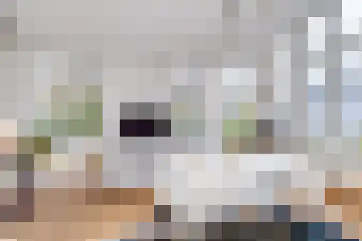 Lucasbolwerk 2 A Utrecht thumbnail 7