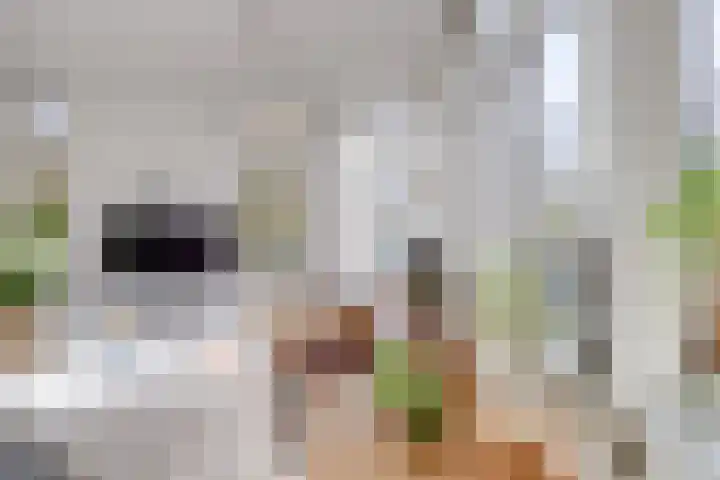 Lucasbolwerk 2 A Utrecht thumbnail 9