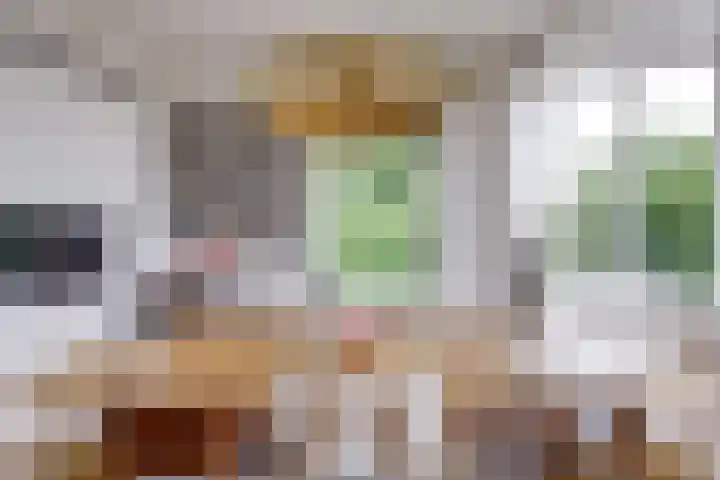 Lucasbolwerk 2 B Utrecht thumbnail 12