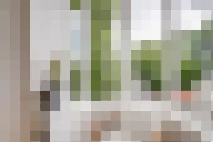 Lucasbolwerk 2 B Utrecht thumbnail 14