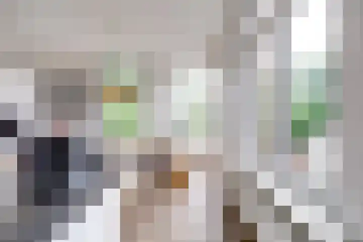 Lucasbolwerk 2 B Utrecht thumbnail 22