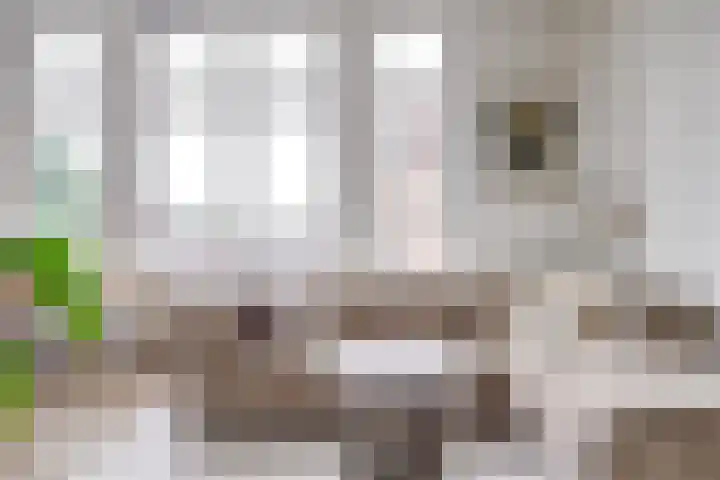 Lucasbolwerk 2 B Utrecht thumbnail 25