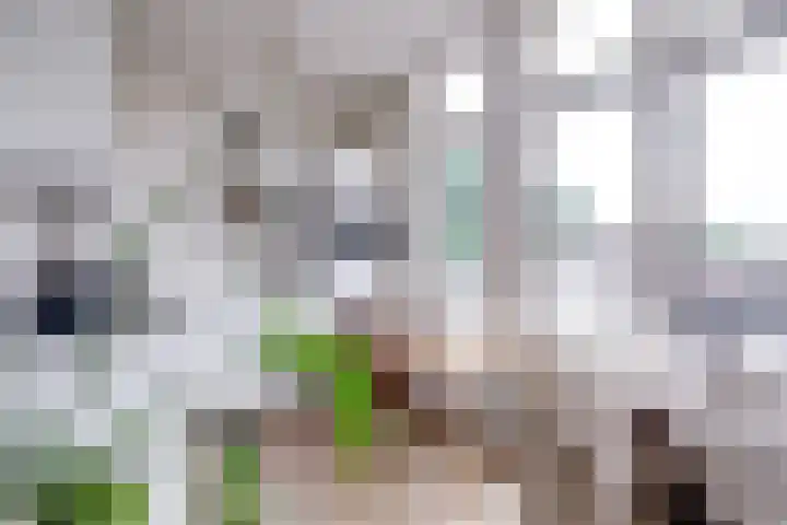 Lucasbolwerk 2 B Utrecht thumbnail 28