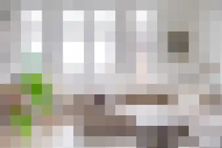 Lucasbolwerk 2 B Utrecht thumbnail 30