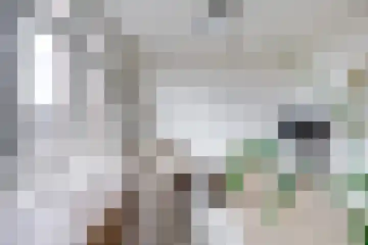 Lucasbolwerk 2 B Utrecht thumbnail 32