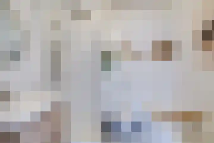 Lucasbolwerk 2 B Utrecht thumbnail 49
