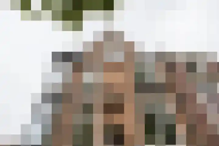 Lucasbolwerk 2 B Utrecht thumbnail 59
