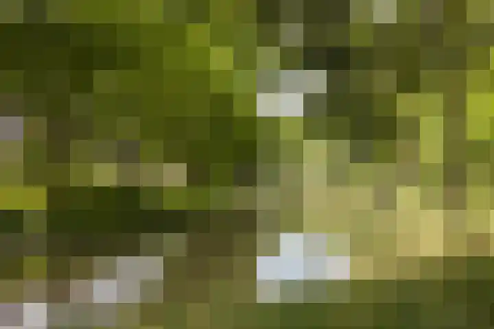 Lucasbolwerk 2 B Utrecht thumbnail 61
