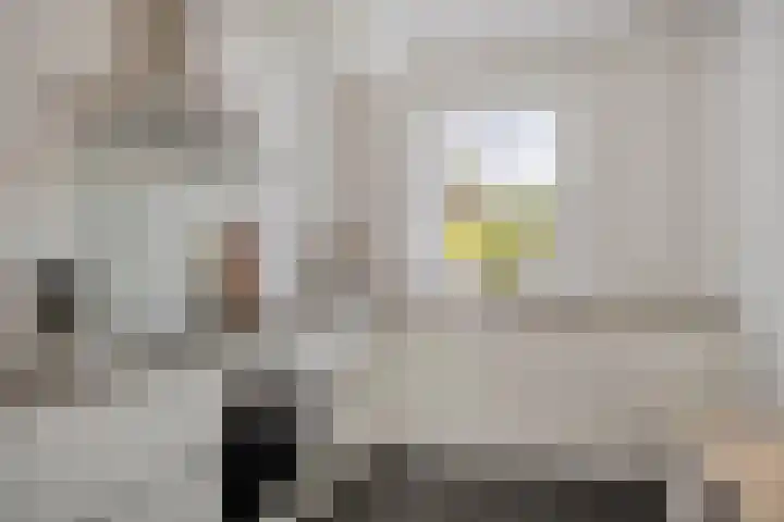 Lucashoef 10 Oost West en Middelbeers thumbnail 16