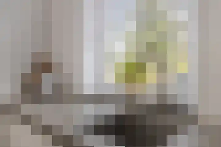 Lucashoef 10 Oost West en Middelbeers thumbnail 17