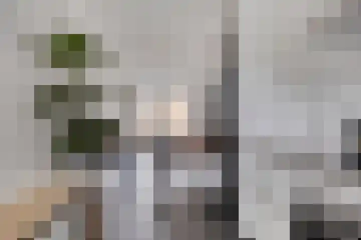 Lucashoef 10 Oost West en Middelbeers thumbnail 19