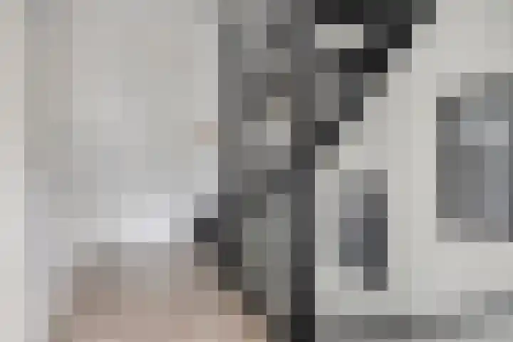 Lucashoef 10 Oost West en Middelbeers thumbnail 20