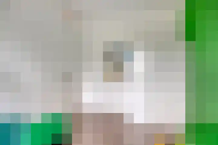 Lucashoef 10 Oost West en Middelbeers thumbnail 24