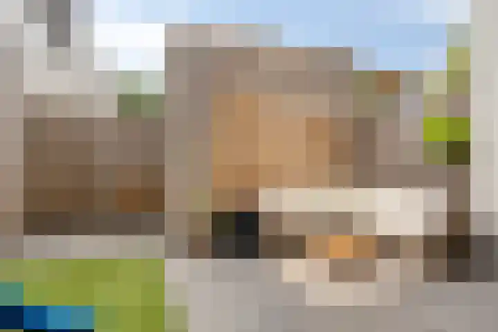 Lucashoef 10 Oost West en Middelbeers thumbnail 36