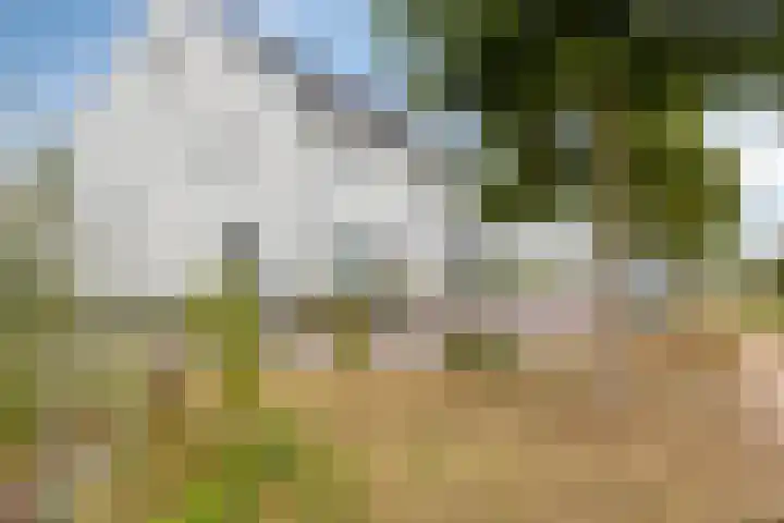Lucashoef 10 Oost West en Middelbeers thumbnail 42