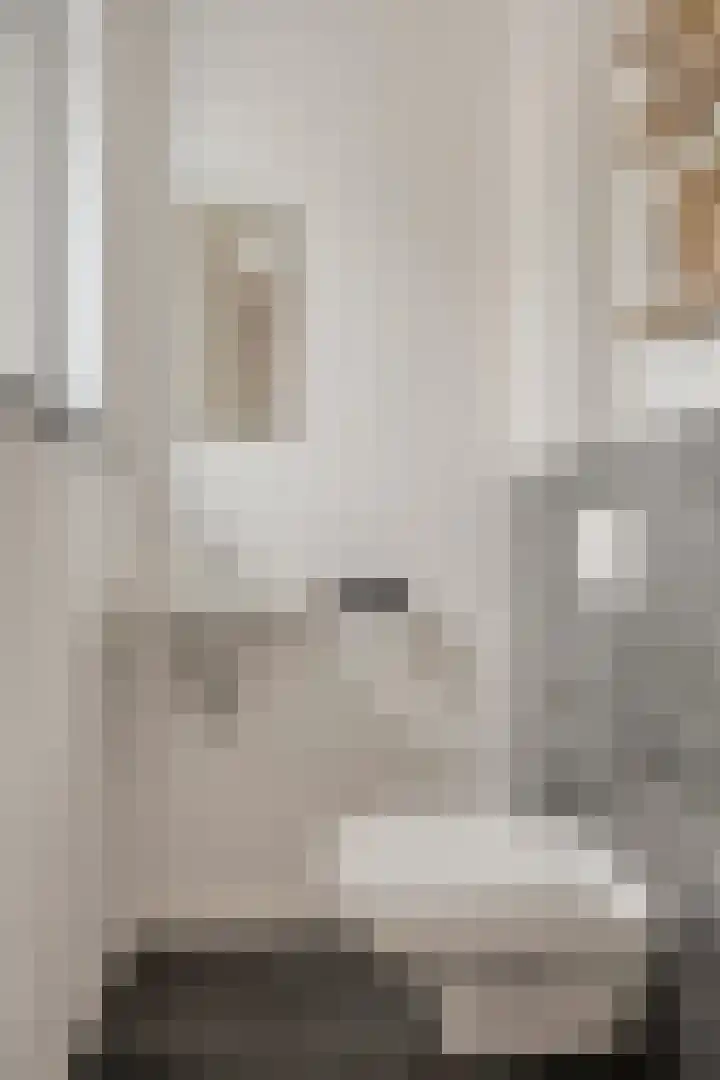 Lucashoef 10 Oost West en Middelbeers thumbnail 9