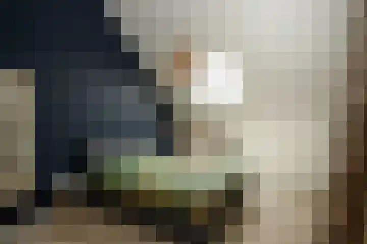 Lucashoef 6 Oost West en Middelbeers thumbnail 12