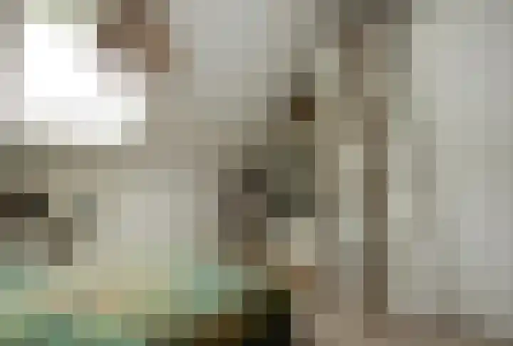 Lucashoef 6 Oost West en Middelbeers thumbnail 13