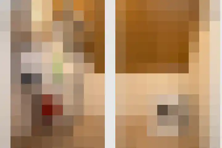 Lucashoef 6 Oost West en Middelbeers thumbnail 18