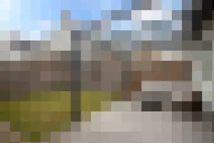 Lucashoef 6 Oost West en Middelbeers thumbnail 19