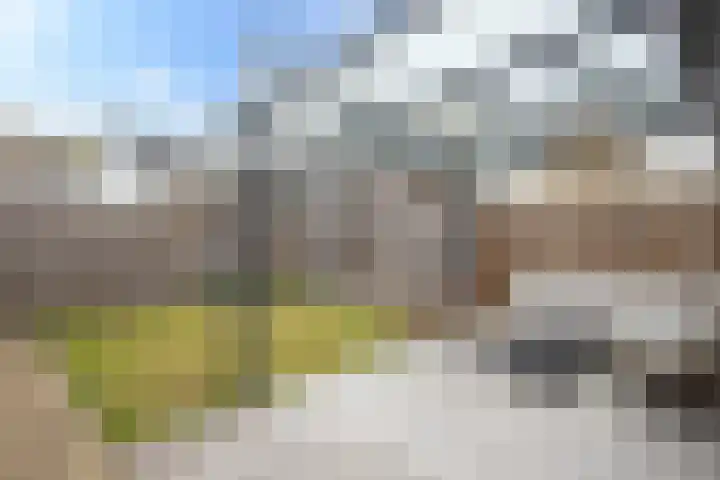 Lucashoef 6 Oost West en Middelbeers thumbnail 21